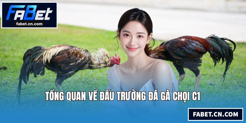 Tổng quan về đấu trường đá gà chọi C1